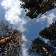 SouthernSierra 058 : SouthernSierra